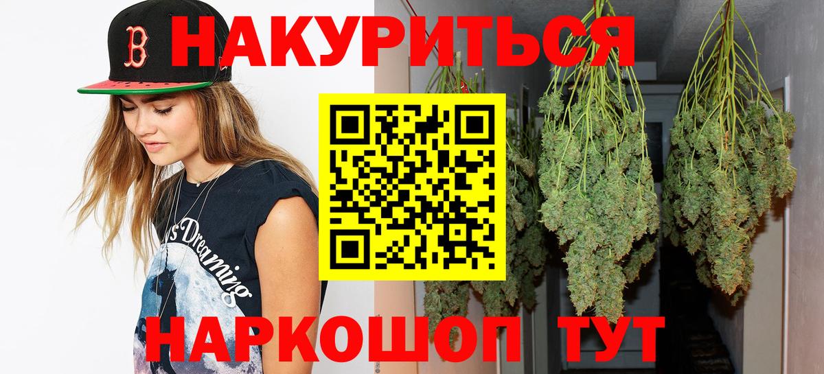 Конопля гибрид Алейск